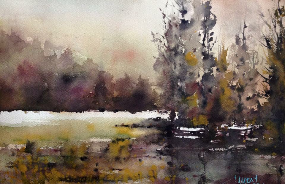 Sulu Boya Çalışması 98